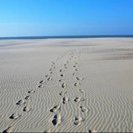 In With Lighthouse View Nieuwpoort