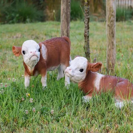In With Lighthouse View Nieuwpoort