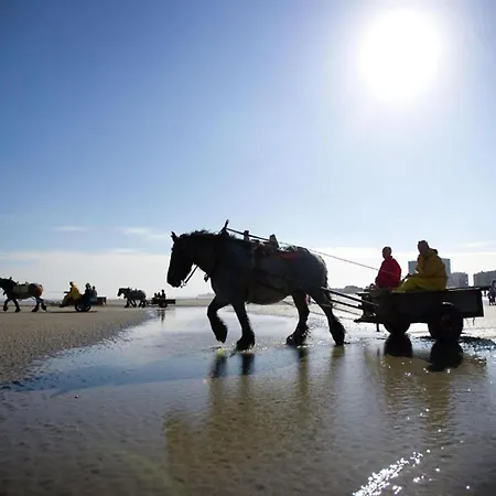 In With Lighthouse View Lejlighed