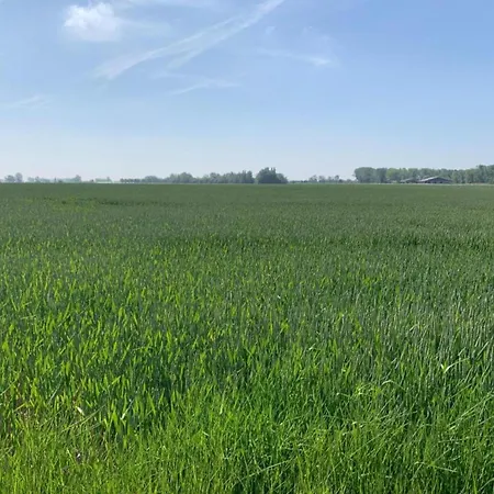 In With Lighthouse View Apartman *